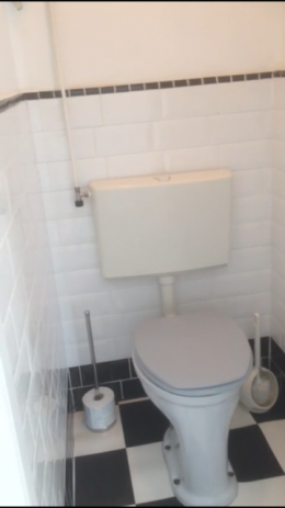 new tiled toilet and floor (2018)